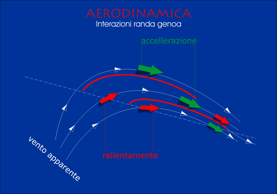 [Immagine: 20109119315_interazioni randagenoa.png]